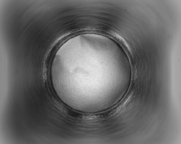 X0000093161019200710171206