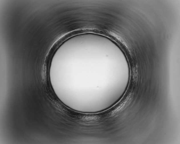 X0000093161021200710171206