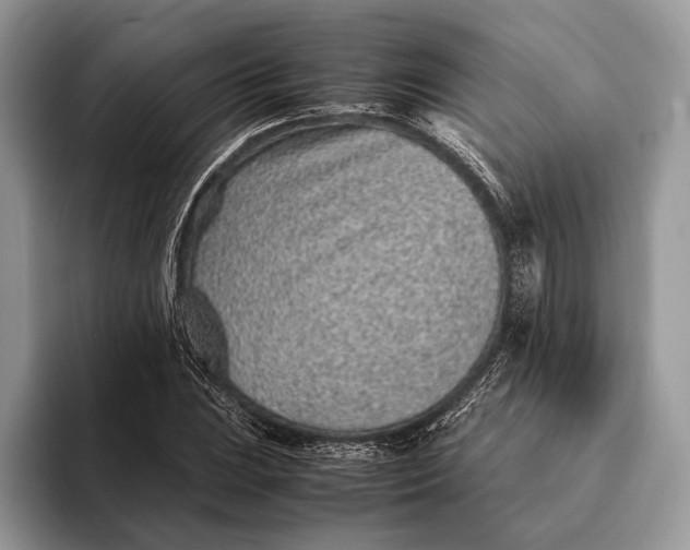 X0000093161023200710171206