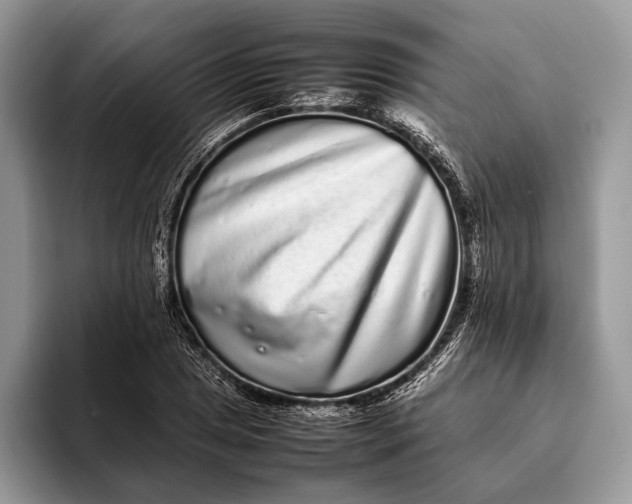 X0000093161025200710171206