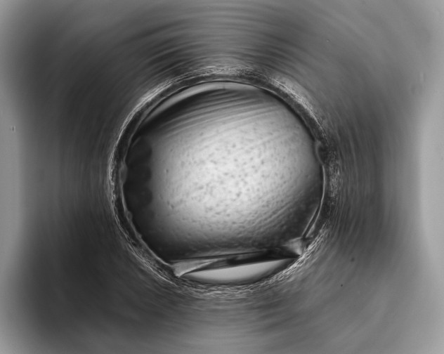 X0000093161026200710171206