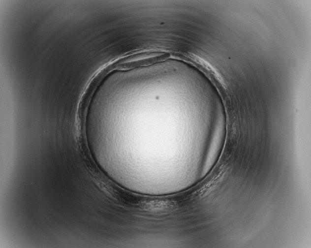 X0000093161027200710171206