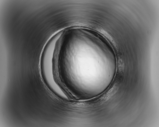 X0000093161028200710171206