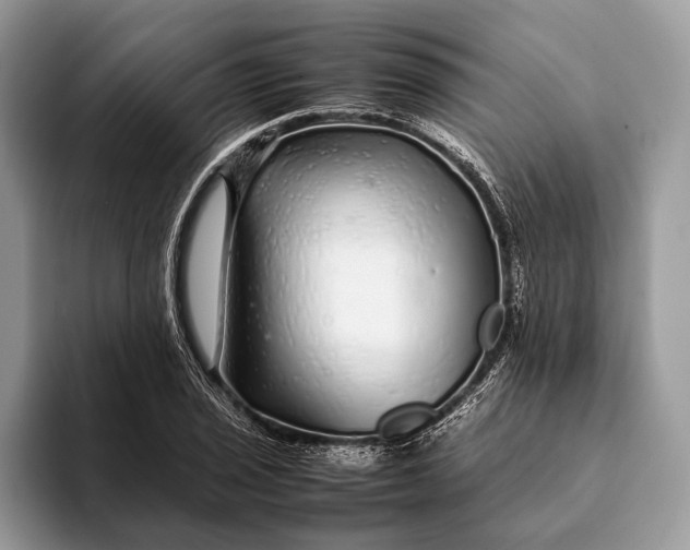 X0000093161029200710171206