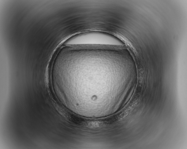 X0000093161031200710171206