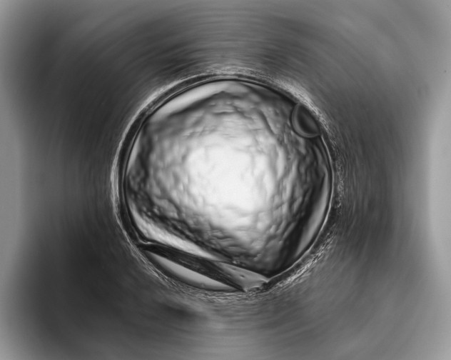 X0000093161032200710171206