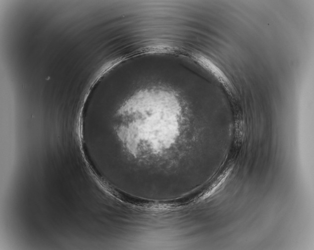 X0000093161034200710171206