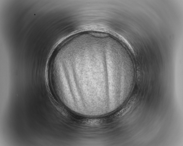 X0000093161035200710171206