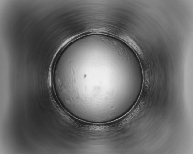 X0000093161036200710171206