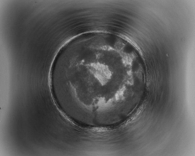 X0000093161037200710171206