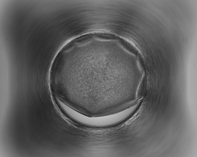 X0000093161038200710171206