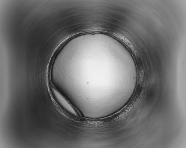 X0000093161039200710171206