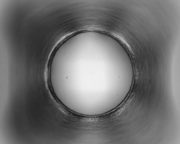 X0000093161040200710171206