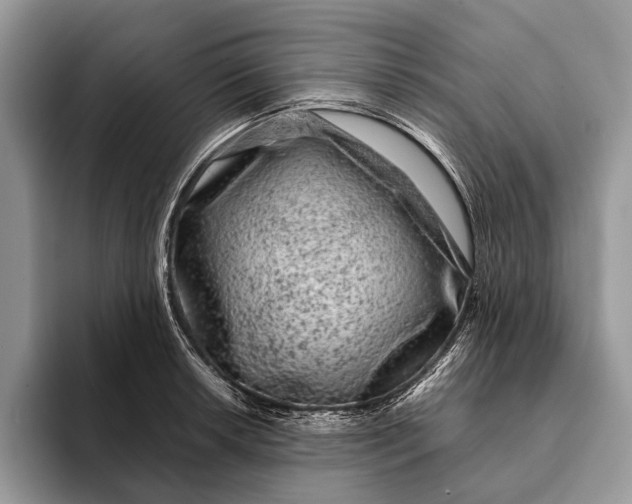X0000093161042200710171206