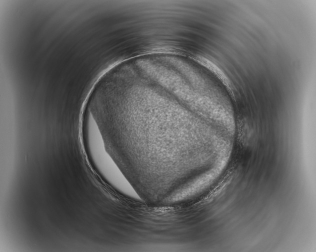 X0000093161043200710171206