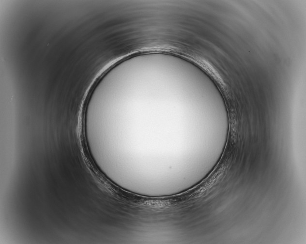 X0000093161044200710171206