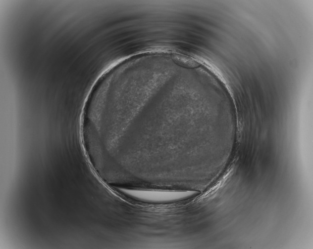 X0000093161045200710171206