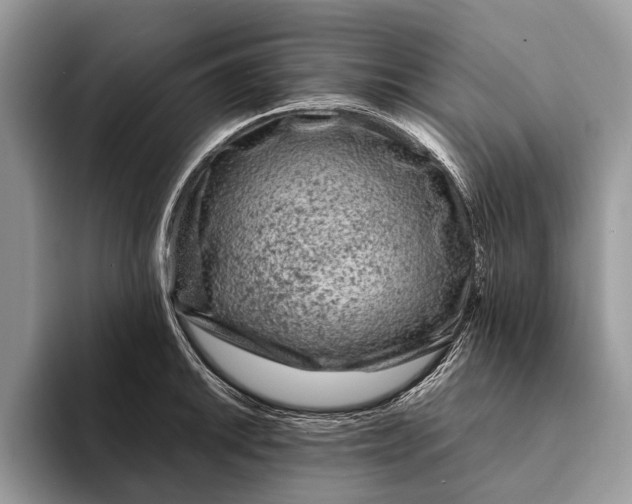 X0000093161046200710171206