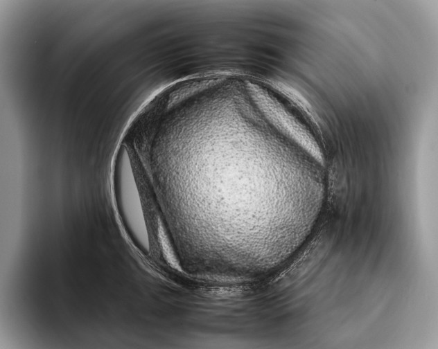 X0000093161047200710171206