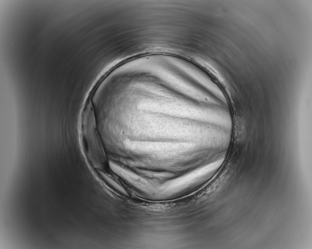 X0000093161048200710171206