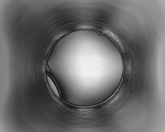 X0000093161049200710171206