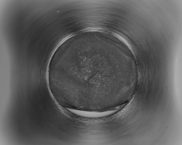 X0000093161050200710171206