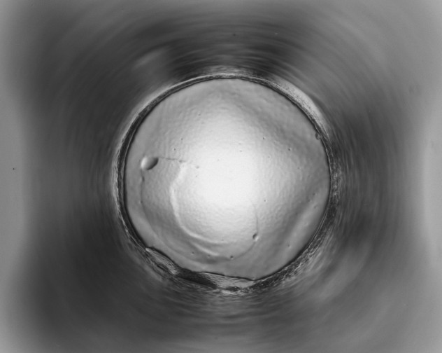 X0000093161051200710171206