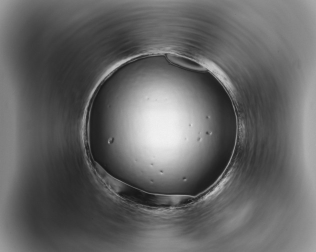 X0000093161052200710171206