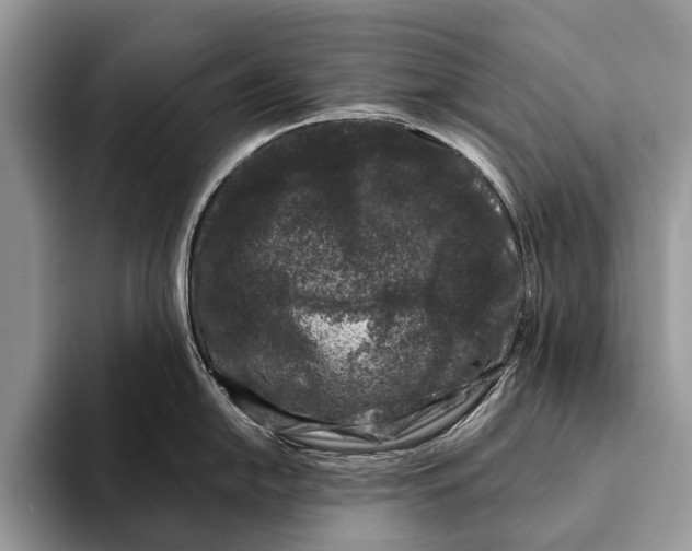 X0000093161054200710171206