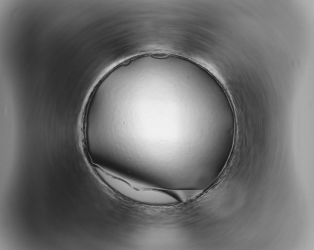 X0000093161056200710171206