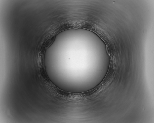 X0000093161058200710171206