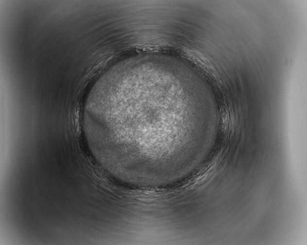 X0000093161060200710171205