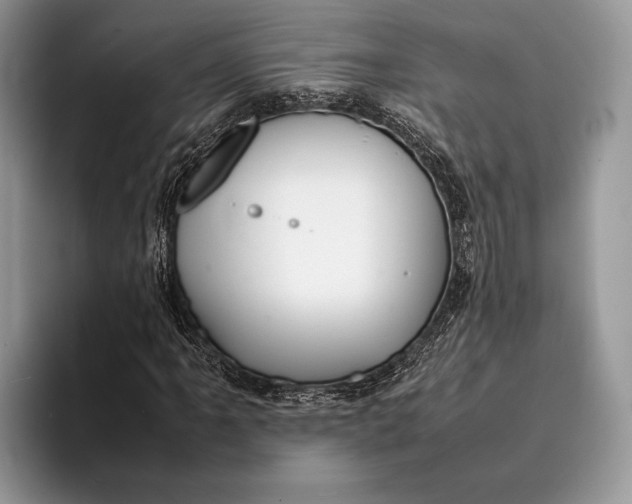 X0000093161061200710171205