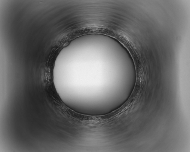 X0000093161062200710171205