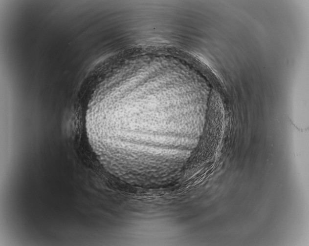 X0000093161063200710171205