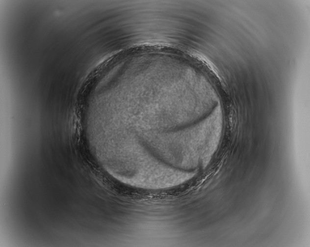 X0000093161064200710171205
