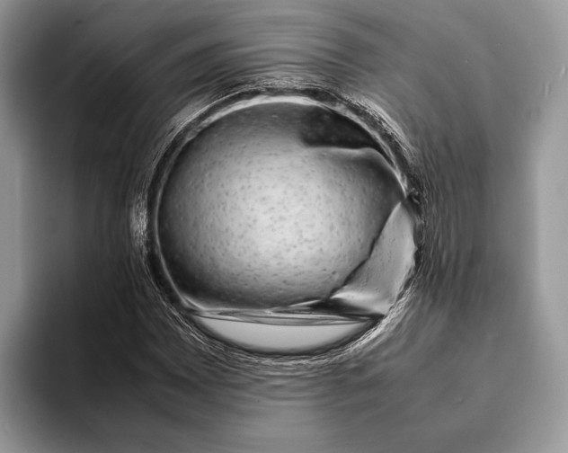 X0000093161065200710171205