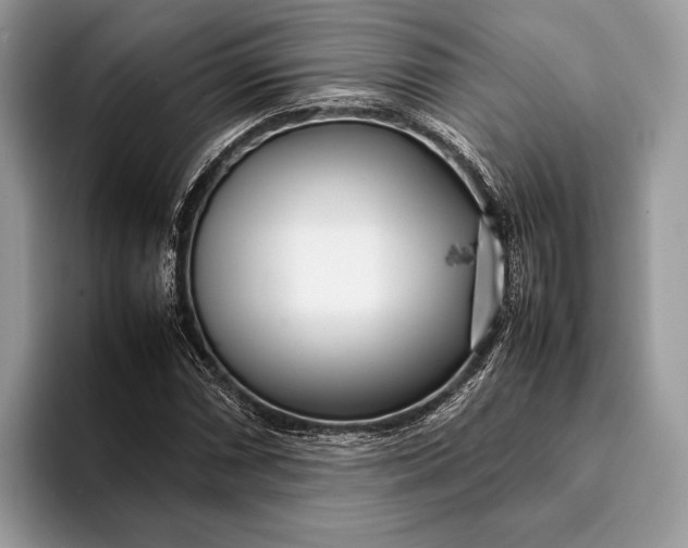 X0000093161066200710171205