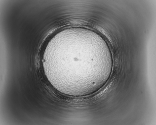 X0000093161067200710171205