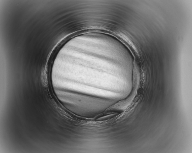 X0000093161068200710171205