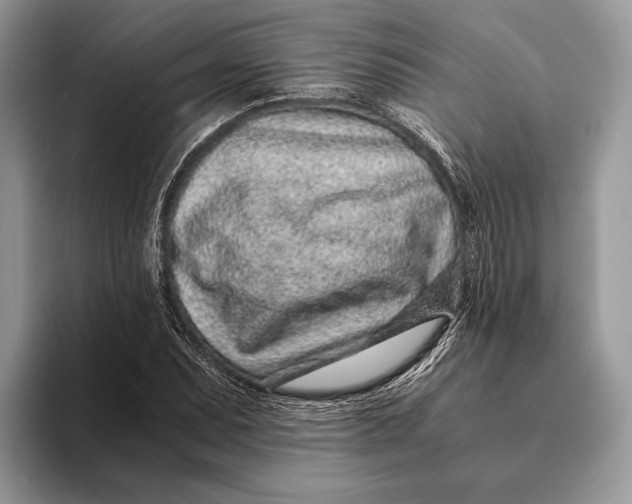 X0000093161071200710171205