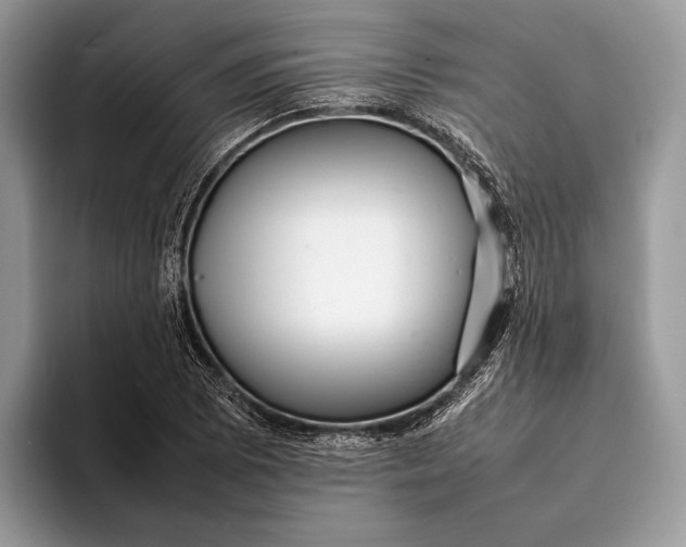X0000093161073200710171205