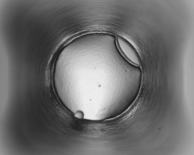 X0000093161075200710171205