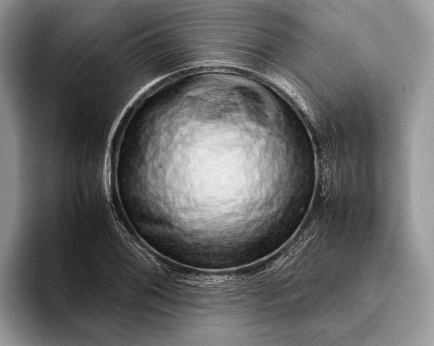 X0000093161076200710171205