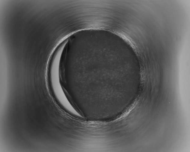 X0000093161077200710171205