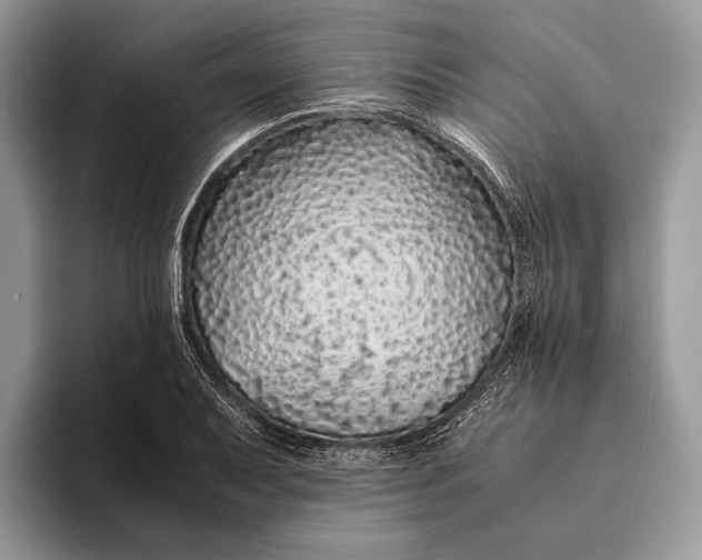 X0000093161079200710171205