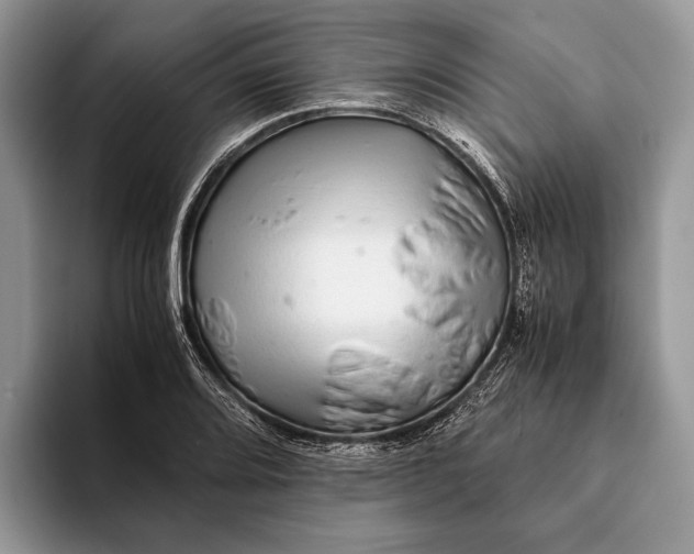 X0000093161080200710171205