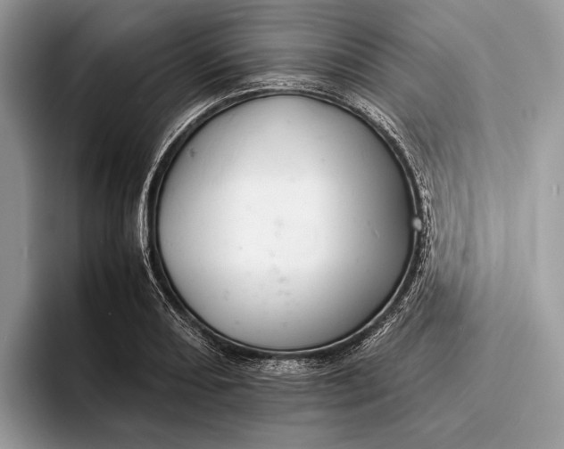 X0000093161082200710171205