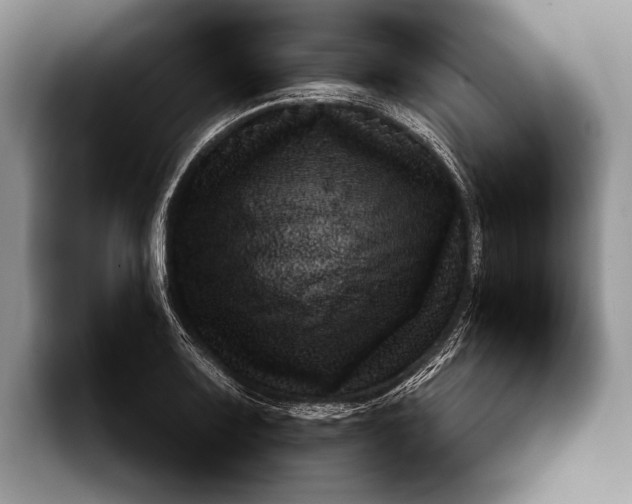 X0000093161083200710171205