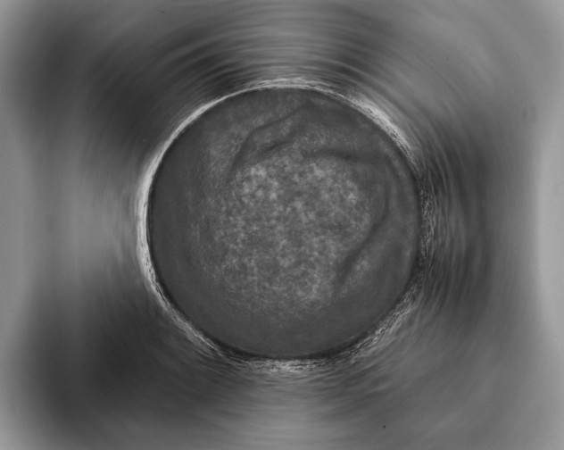 X0000093161084200710171205